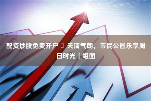 配资炒股免费开户 ​天清气朗，市民公园乐享周日时光｜组图